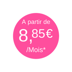 comment choisir son assurance santé animale assurance santé mutuelle chien chat cheval