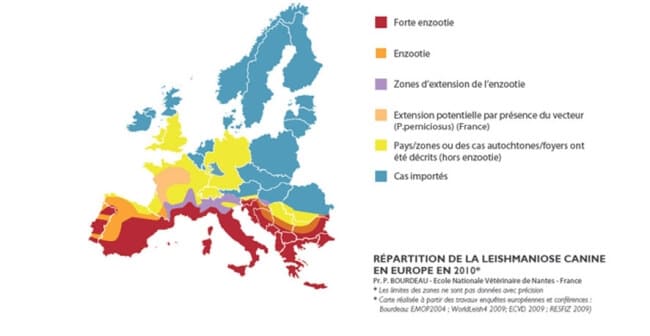 Leishmaniose chien repartition ou la trouver