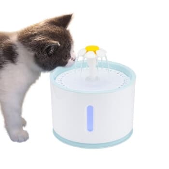 prevention-cystite-chat-fontaine-eau