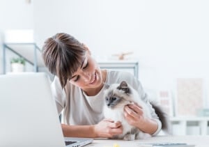 technologies objets connectés santé chien chat