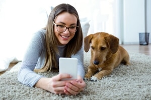 veterinaire en ligne chien chat