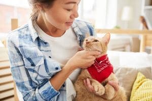 assurance-santé-mutuelle-pour-chat assurance santé mutuelle chat