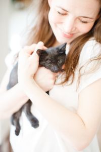mutuelle-assurance-santé-pour-chat-protection-santé mutuelle assurance santé chat