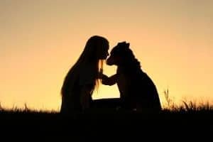 fin de vie euthanasie chien chiot