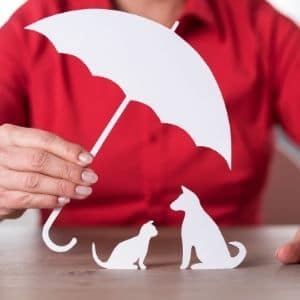 assurance mutuelle santé chien protection