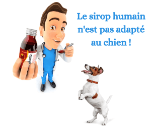 pas-donner-sirop-chien-qui-tousse