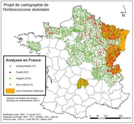 carte-echinococcose-france-risque carte-echinococcose france départements risque contamination