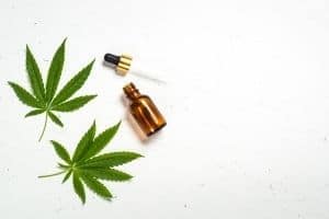 cannabidiol cannabis traitement chien