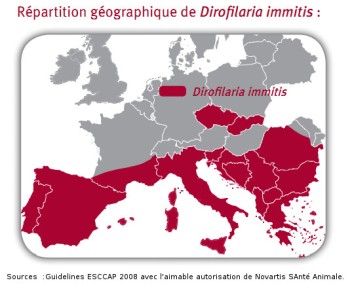 répartition-dirofilariose-Europe-carte vers du coeur chats chiens europe dirofilariose