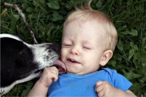 vermifuger chien chat au contact d'enfants