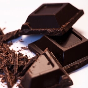 intoxication-chocolat-chien-chat