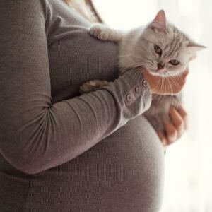 toxoplasmose grossesse chat femme enceinte