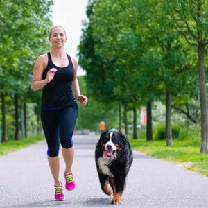 chien-arthrosique-qui-court-elimine-douleur chien arthrosique qui court élimine douleur