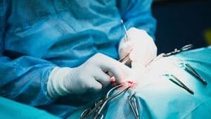 cout chirurgie dysplasie hanche chien