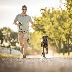 5 sports populaires à pratiquer avec son chien