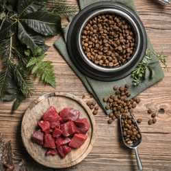 alimentation mixte chien