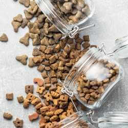 choisir meilleures croquettes chiens et chats