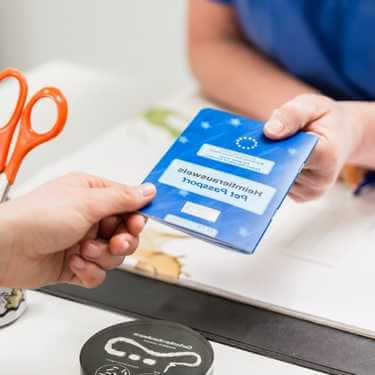 passeport-européen-chat-vétérinaire passeport européen pour chat délivré par le vétérinaire