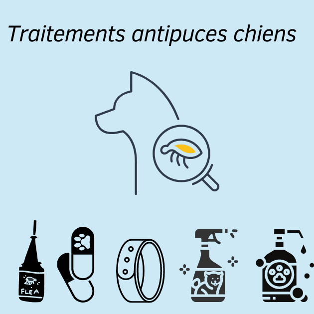 differentes-formes-traitements-antipuces-chien Différents formats de traitements antipuces pour chien
