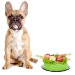 Peut-on donner des légumes à son chien ?